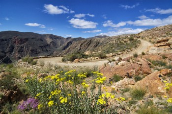 Kleine Karoo, Swartberg Pass