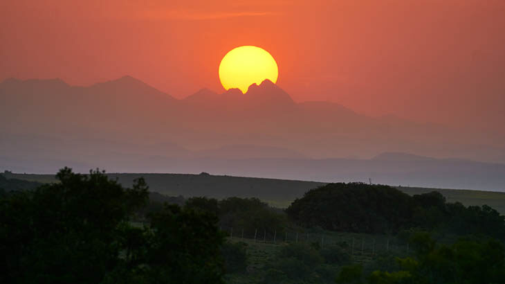 Safari, Schotia Private Game Reserve, Sonnenuntergang, Garden Route Touren